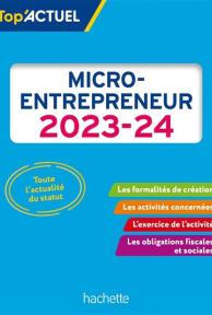 micro-entrepreneur
